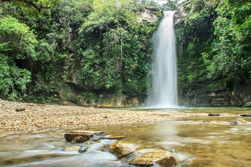 9 Iniciativas de Conservação Ambiental no Brasil: Inspire-se e Contribua